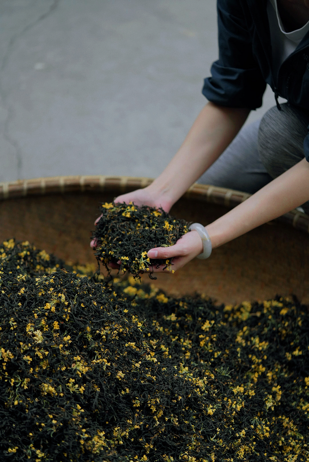Osmanthus Jiuqu Hongmei