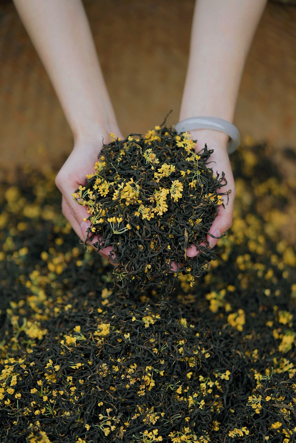 Osmanthus Jiuqu Hongmei
