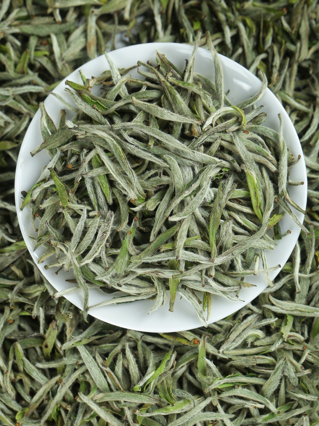 2025 Premium Silver Needle