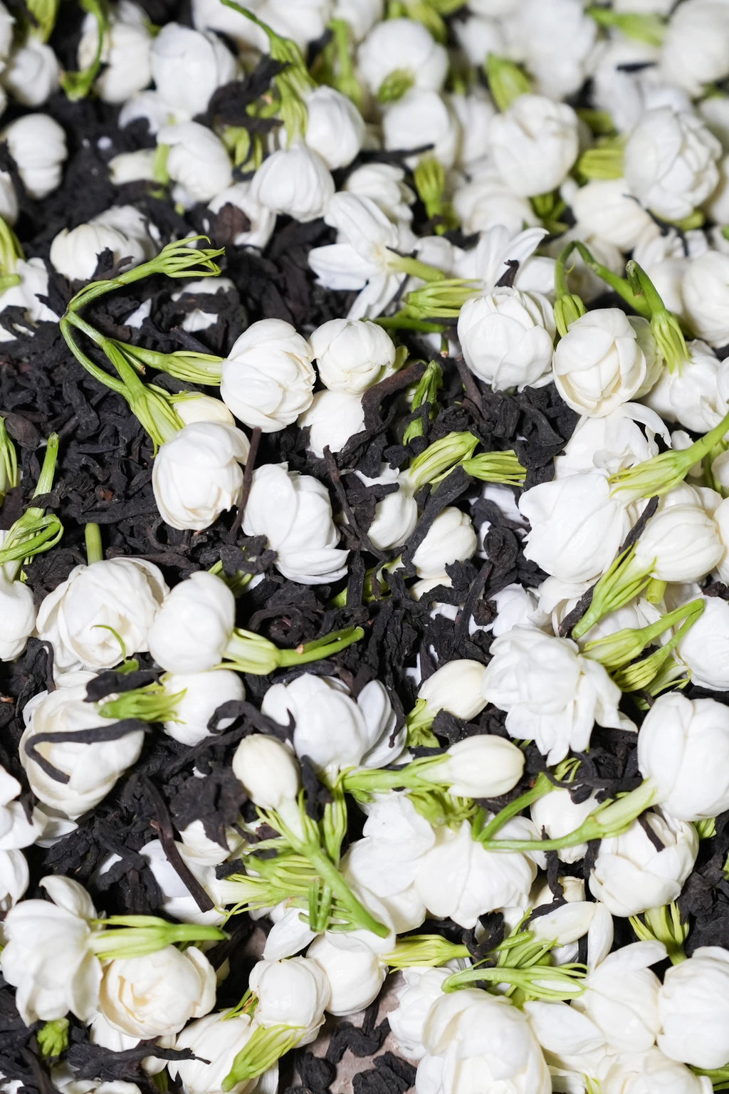 2017 Jasmine Liu Bao Tea