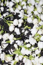 2017 Jasmine Liu Bao Tea