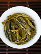 2022 Yiwu Ancient Tree Raw Pu’er