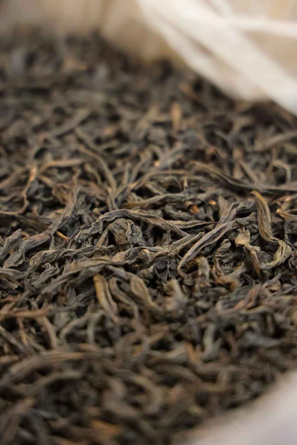 Fujian Old Bush Shuixian