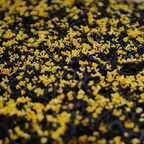 Premium Osmanthus Jiuqu Hongmei