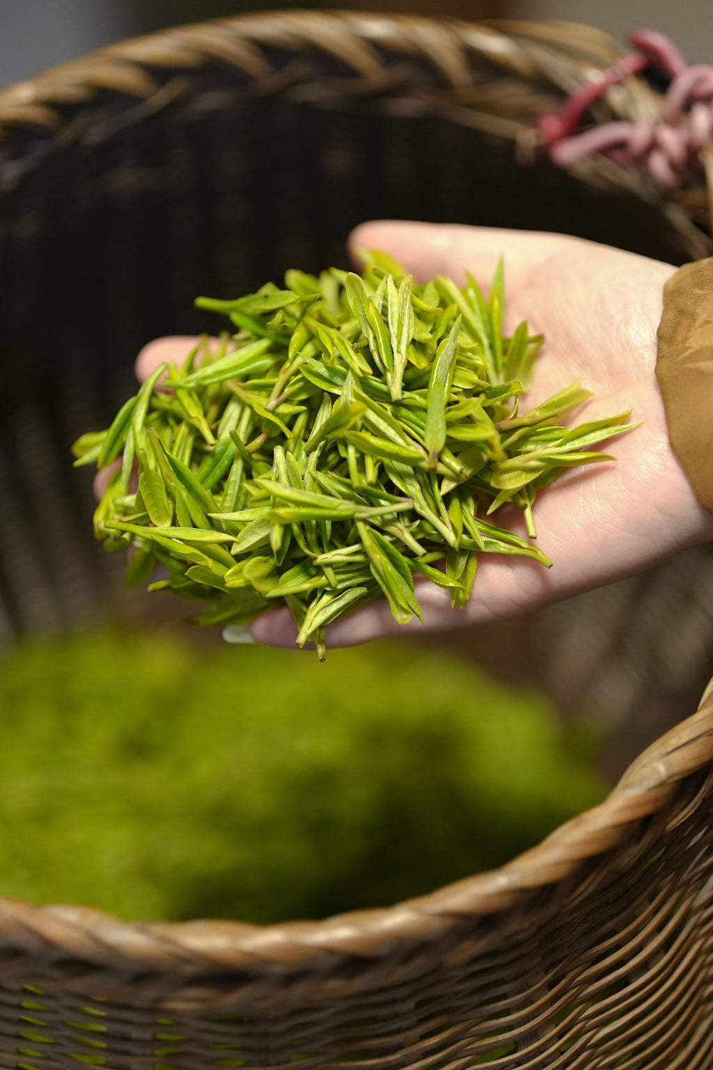 2026 West Lake Longjing
