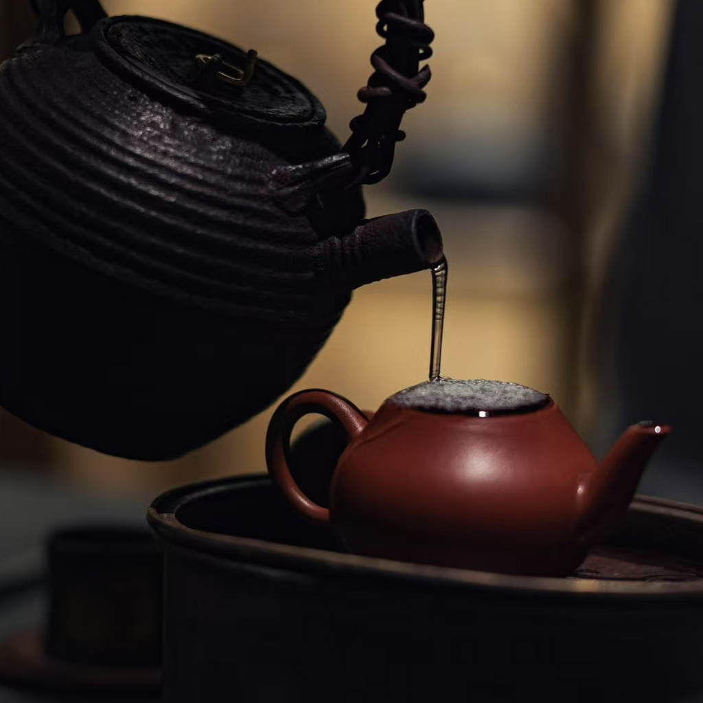 Wuyi rock tea "Da Hong Pao"