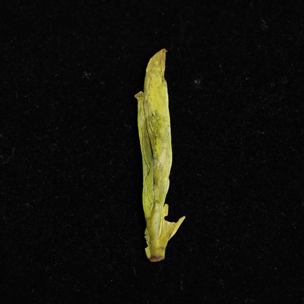 West Lake Longjing