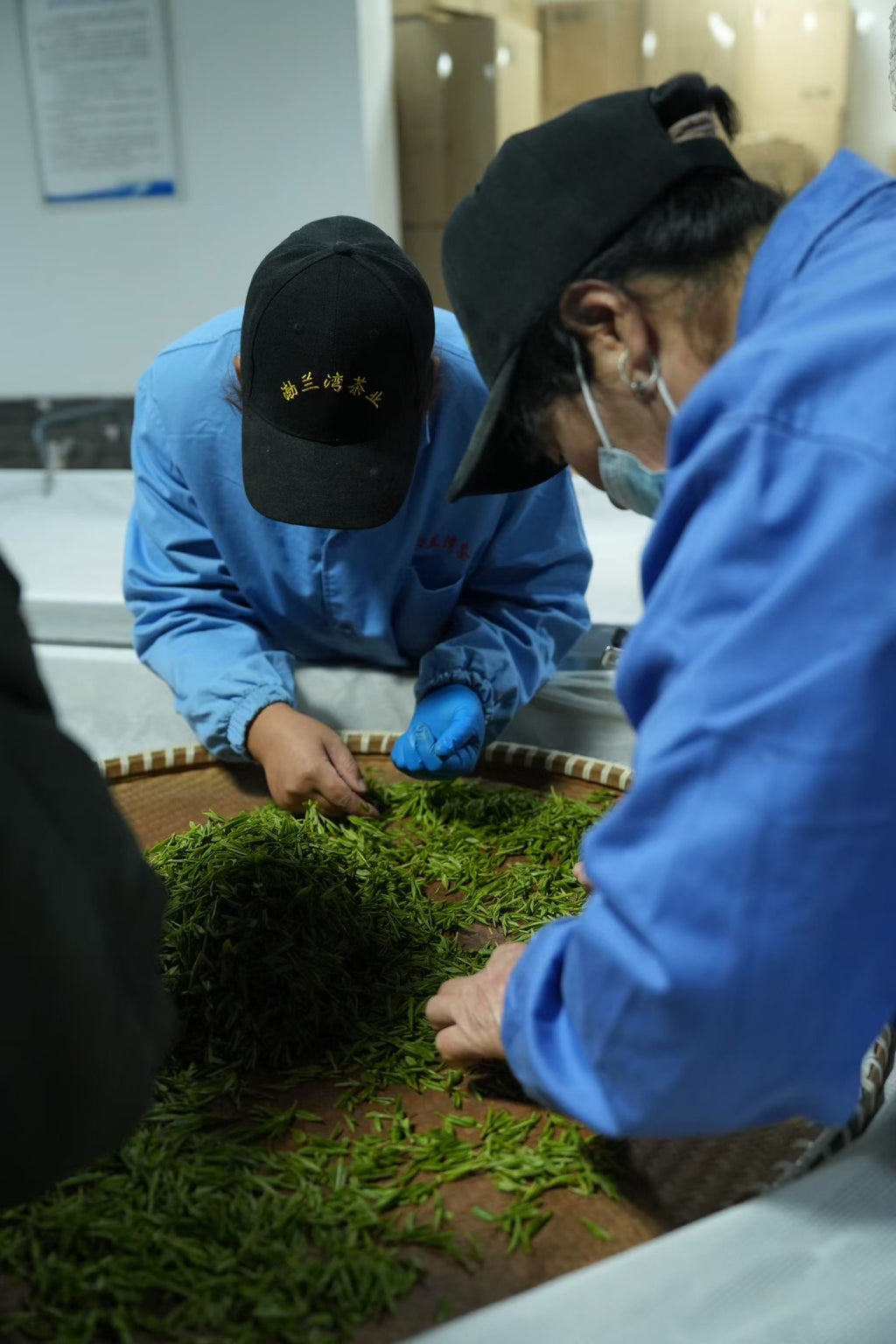 2026 West Lake Longjing