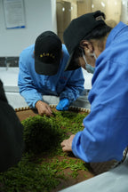 2026 West Lake Longjing
