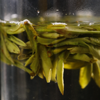West Lake Longjing