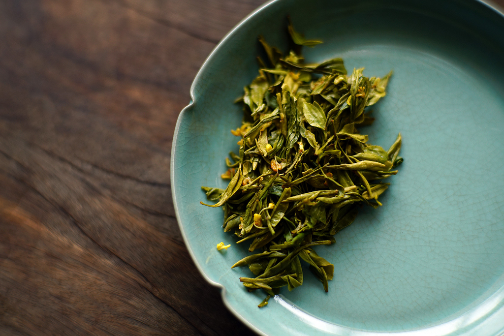 Osmanthus West Lake Longjing