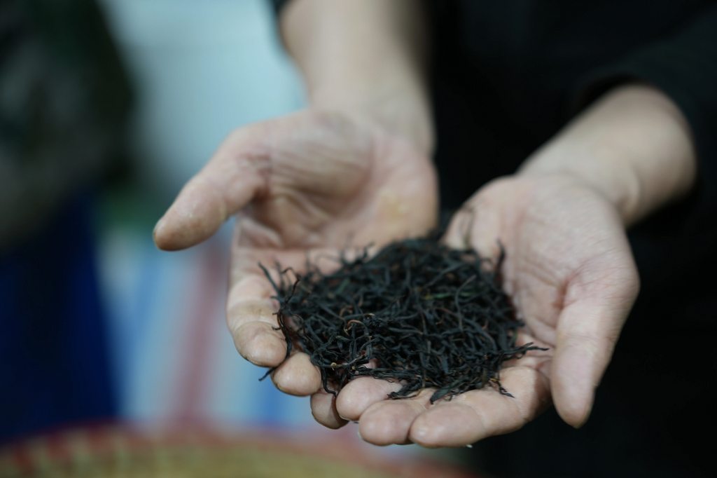 Premium Jiuqu Hongmei