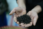 Premium Jiuqu Hongmei