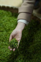 2026 West Lake Longjing